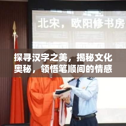 探寻汉字之美，揭秘文化奥秘，领悟笔顺间的情感流露