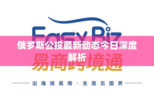 俄罗斯公投最新动态今日深度解析