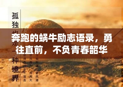 奔跑的蜗牛励志语录，勇往直前，不负青春韶华