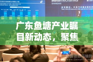 广东鱼塘产业瞩目新动态，聚焦行业前沿资讯