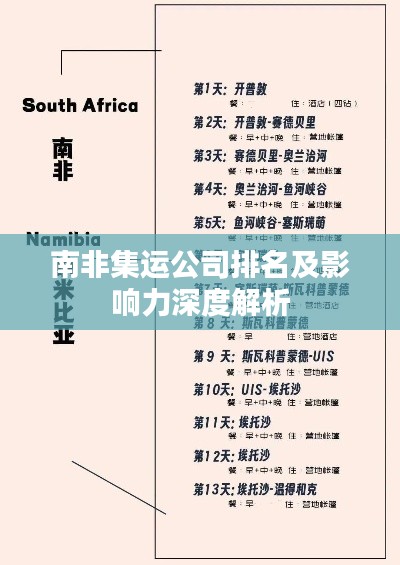 南非集运公司排名及影响力深度解析