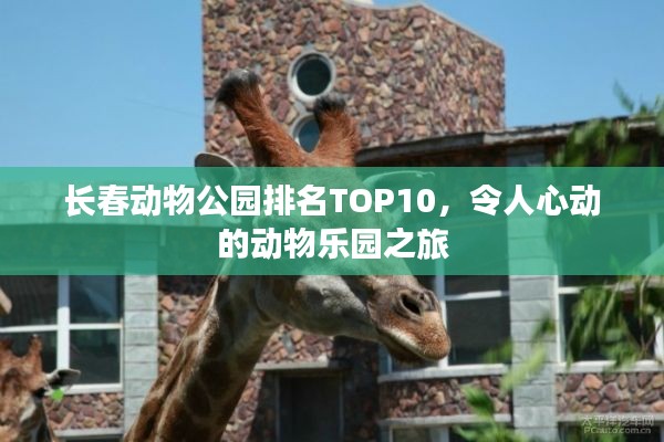 长春动物公园排名TOP10，令人心动的动物乐园之旅