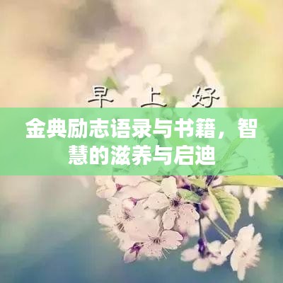 2025年6月3日 第5页