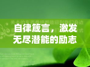 自律箴言，激发无尽潜能的励志语录