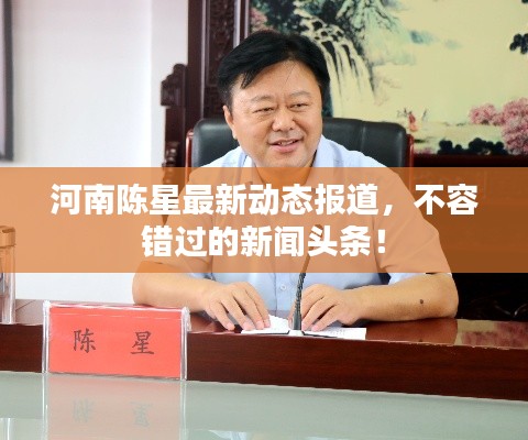 河南陈星最新动态报道，不容错过的新闻头条！
