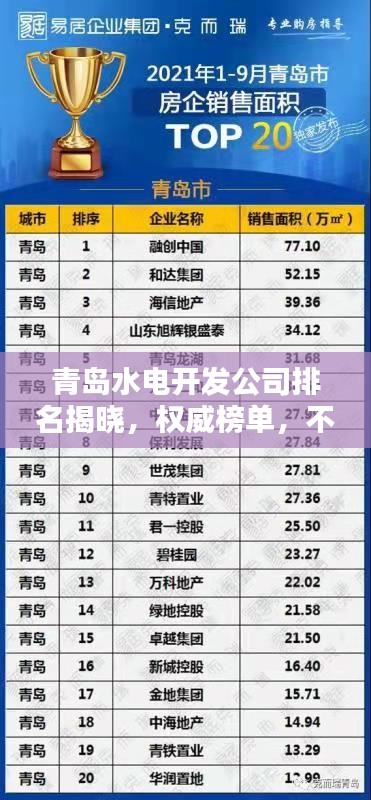 青岛水电开发公司排名揭晓，权威榜单，不容错过！