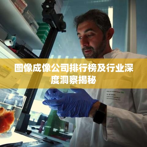 图像成像公司排行榜及行业深度洞察揭秘