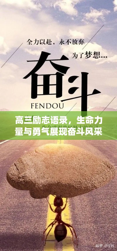 高三励志语录，生命力量与勇气展现奋斗风采