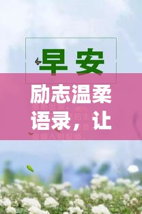 励志温柔语录，让你安心追梦，温柔相伴