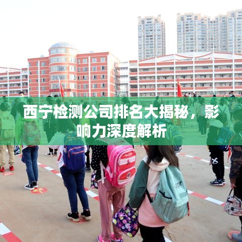 西宁检测公司排名大揭秘，影响力深度解析