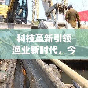 科技革新引领渔业新时代，今日渔网最新消息披露！