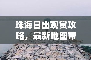 坌鸟先飞