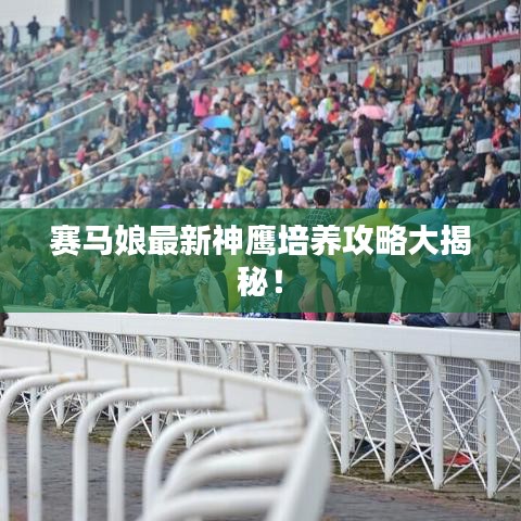赛马娘最新神鹰培养攻略大揭秘！