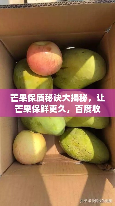 芒果保质秘诀大揭秘，让芒果保鲜更久，百度收录必备攻略！