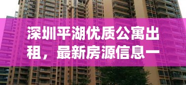 深圳平湖优质公寓出租，最新房源信息一览