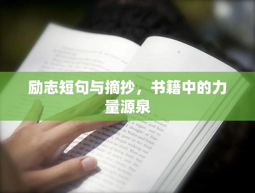 2025年6月6日 第2页