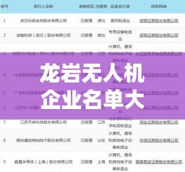 龙岩无人机企业名单大揭秘，最新企业名单全收录