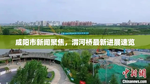 咸阳市新闻聚焦，渭河桥最新进展速览