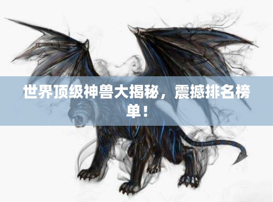 2025年6月8日 第2页