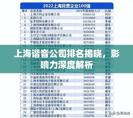 上海谐音公司排名揭晓，影响力深度解析