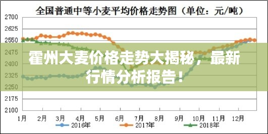 霍州大麦价格走势大揭秘，最新行情分析报告！