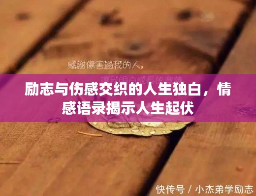 励志与伤感交织的人生独白，情感语录揭示人生起伏