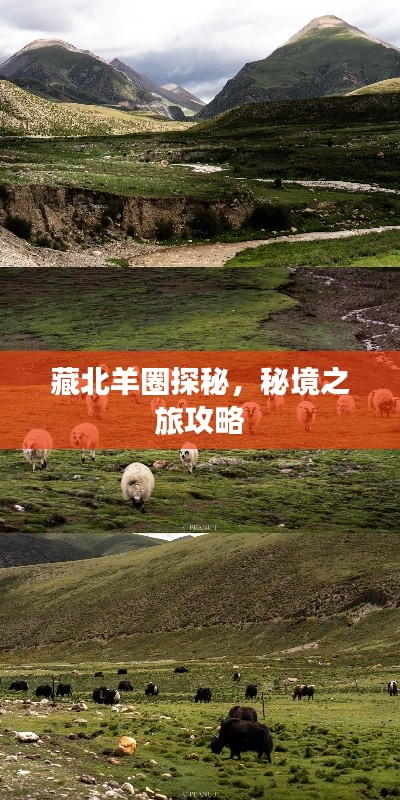藏北羊圈探秘，秘境之旅攻略