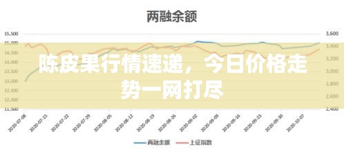 陈皮果行情速递，今日价格走势一网打尽