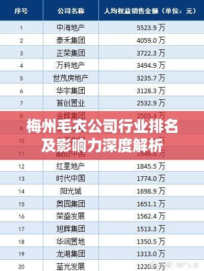 梅州毛衣公司行业排名及影响力深度解析