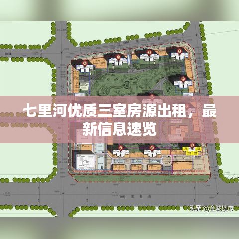 七里河优质三室房源出租，最新信息速览