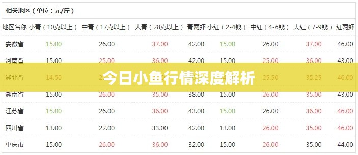 今日小鱼行情深度解析