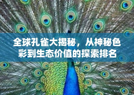 2025年6月13日 第3页