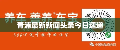 青浦最新新闻头条今日速递