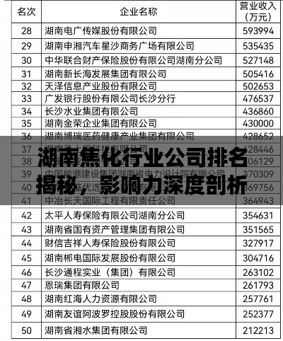 湖南焦化行业公司排名揭秘，影响力深度剖析