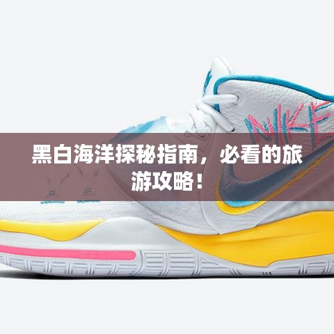 逸兴遄飞