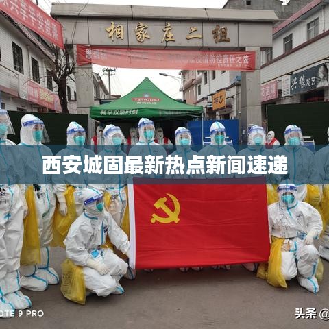 西安城固最新热点新闻速递