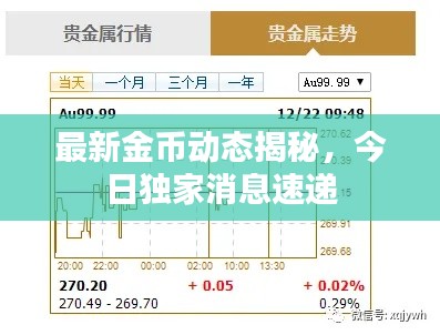 最新金币动态揭秘，今日独家消息速递