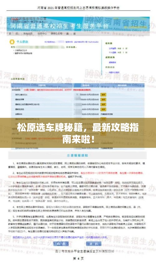 松原选车牌秘籍，最新攻略指南来啦！