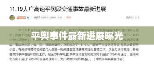 平舆事件最新进展曝光