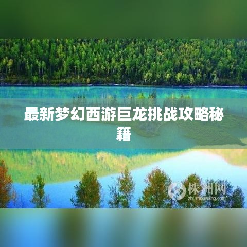 最新梦幻西游巨龙挑战攻略秘籍