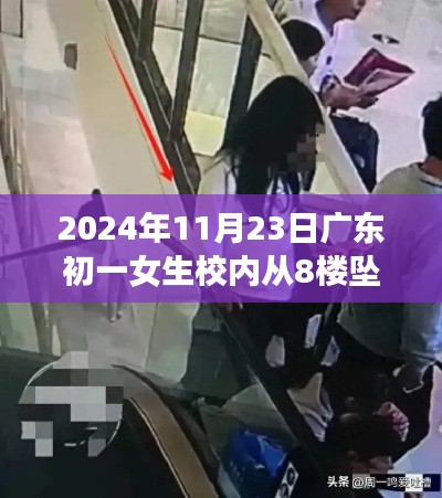 广东初一女生校内坠亡事件回顾，多方回应与深度解析（2024年11月23日）