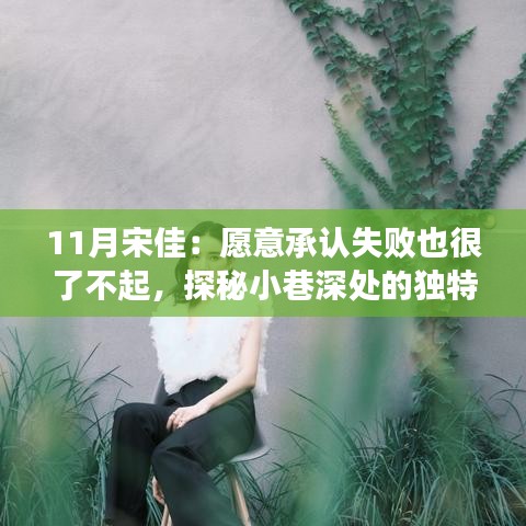 11月宋佳：愿意承认失败也很了不起，探秘小巷深处的独特风味 —— 宋佳十一月的失败厨房