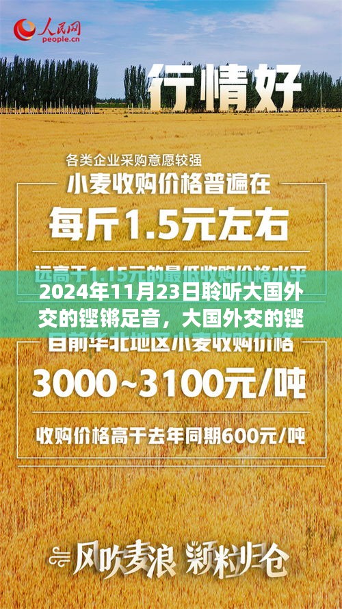 大国外交的铿锵足音，国际舞台上的中国力量——回顾与展望（2024年11月23日）