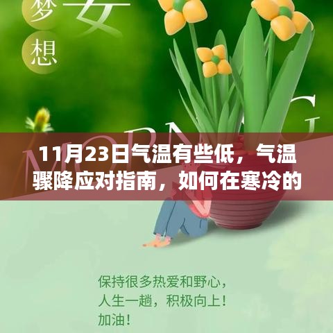 应对骤降气温，高效完成任务与掌握新技能的指南（寒冷天气下的生活策略）