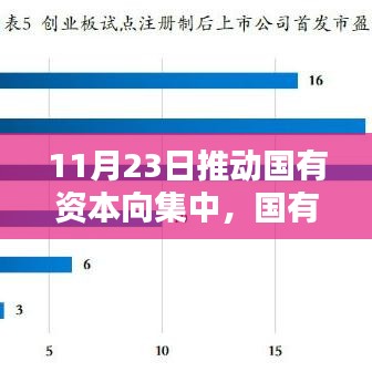 国有资本集中之路，聚焦三大要点解析与推动策略（11月23日）