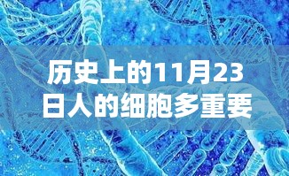 11月23日人类细胞研究的重要里程碑，揭示细胞多重要性的一刻