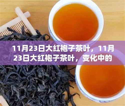 11月23日大红袍子茶叶，探索茶艺之路，自信与成就感的源泉