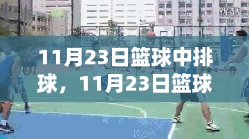 篮球排球盛宴，全面评测与介绍（11月23日特辑）