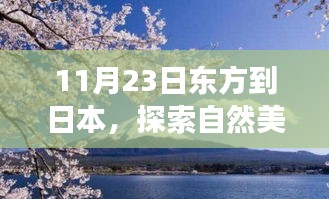 东方启程赴日本自然探索之旅，寻找内心的宁静与平和