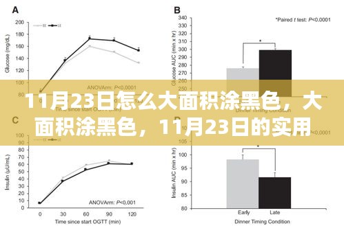 11月23日大面积涂黑色实用指南，轻松掌握高效技巧！